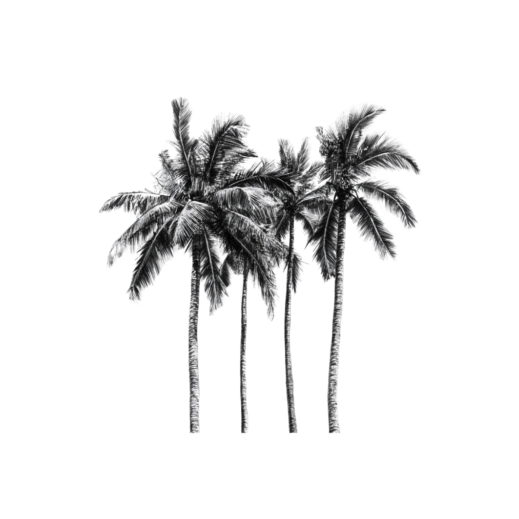 Palmen Bügelbild